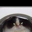 №165, Оленька Писаренко, 26 лет, Самара №165, Оленька Писаренко, 26 лет, Самара