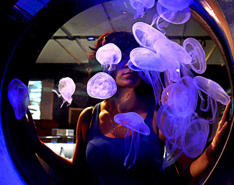 Наталья Чакраборти Kynata | Москва