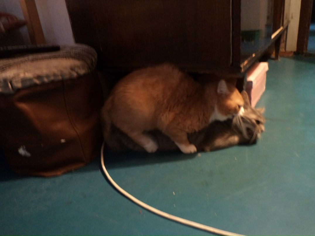 Михаил Солонуха | Донецк