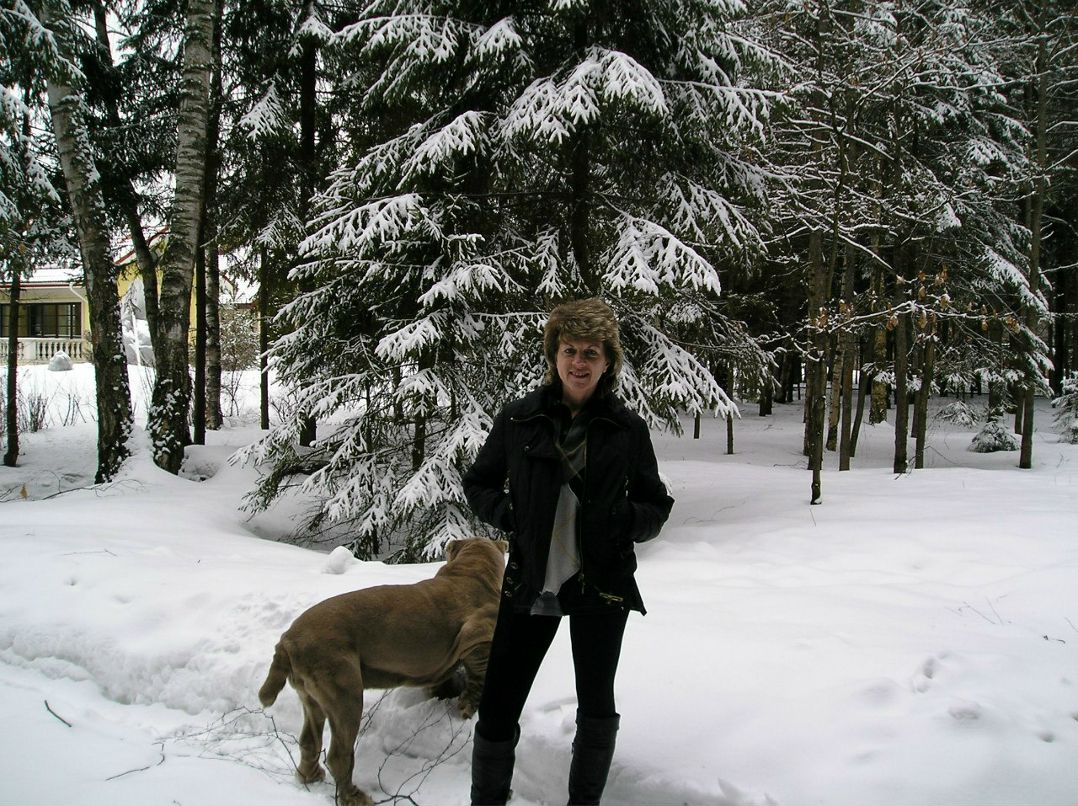 Елена Шевченко | Запорожье