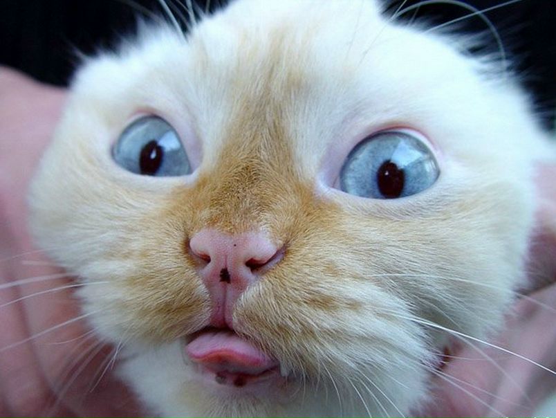 №1, Евгений Курочкин №1, Евгений Курочкин