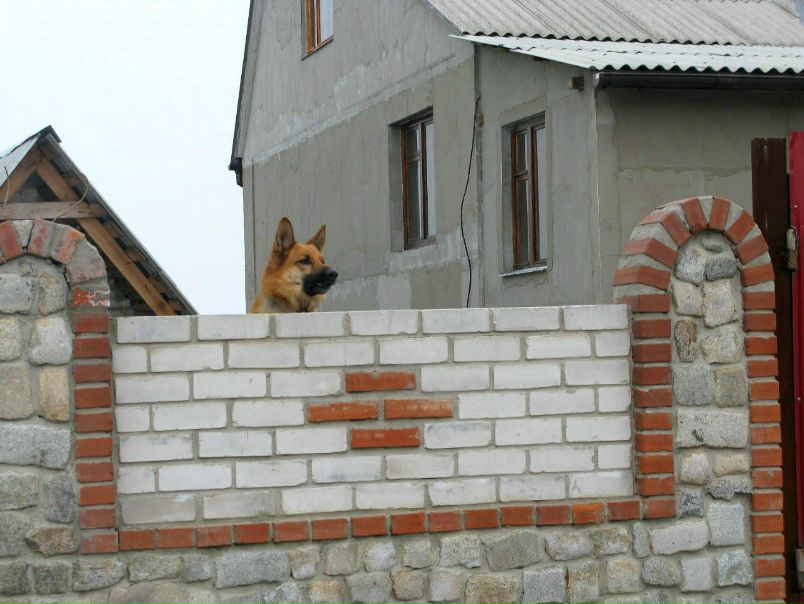 №13, Ярослав Бондарь №13, Ярослав Бондарь