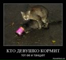 Фотография Михаил Воробьёв