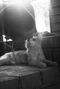 Фотография Даня Маркелов