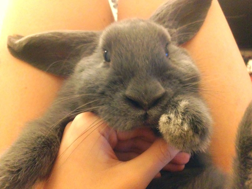 Anna Anna ♡ | Москва