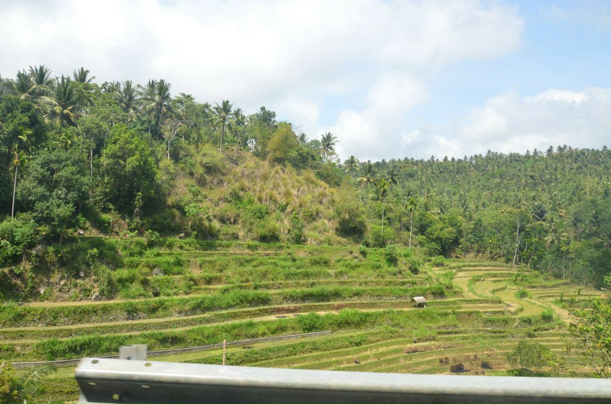 Сергей Авдеев | Сергиев Посад