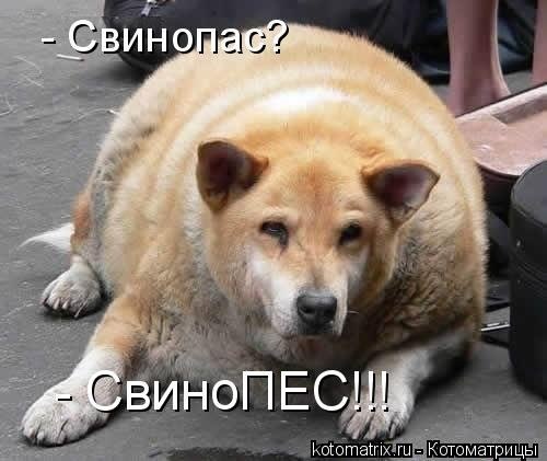 Александр Каковкин | Липецк