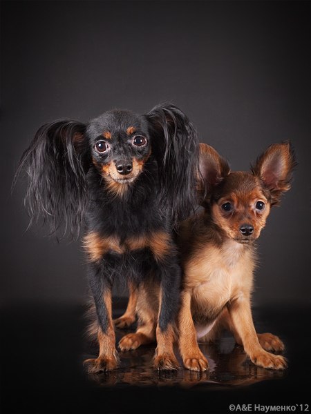 №65, Людмила Боброва, 54 года, Ярославль №65, Людмила Боброва, 54 года, Ярославль