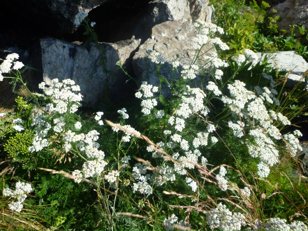 Татьяна Гордеева | Санкт-Петербург