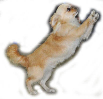 №11, Екатерина Мазуркевич, Санкт-Петербург №11, Екатерина Мазуркевич, Санкт-Петербург