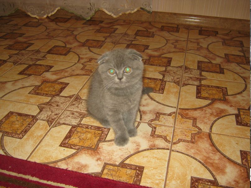 Влад Олейник | Катеринополь