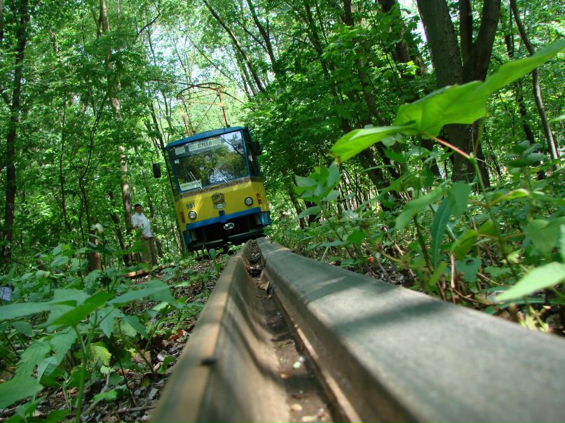 Александр Шарафан | Минск