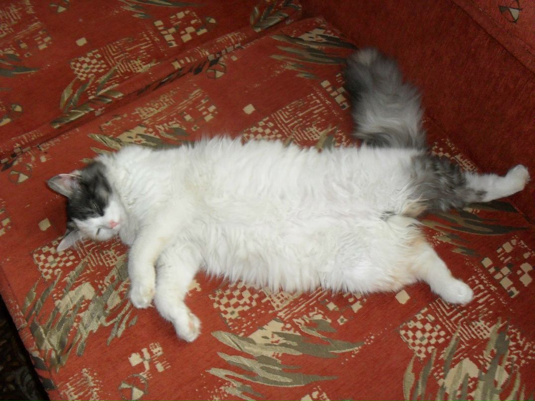 Ярослав Кромский ╭∩╮（︶ ‿︶）╭∩╮CRAZY | Москва