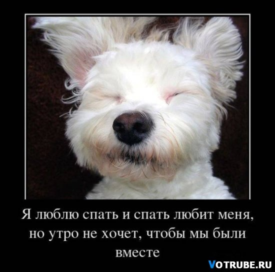 Эльмира Адышева | Киев