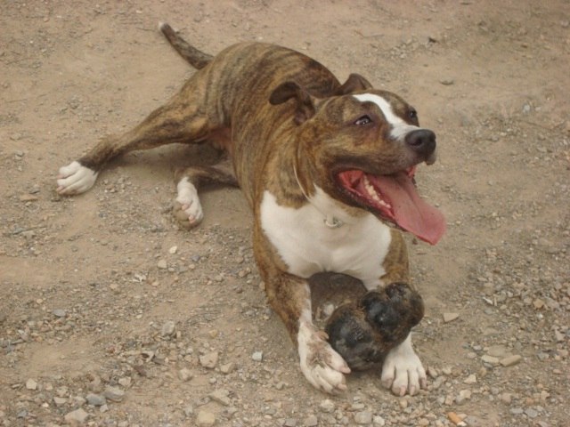 Максим Малинка | Murcia