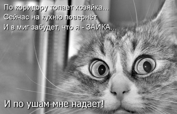 Віра Денисюк | Кривой Рог