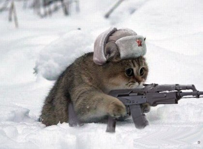 Татьяна Бацура ❤❤❤❤ | Киев