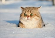 Фотография Гузель Вильданова