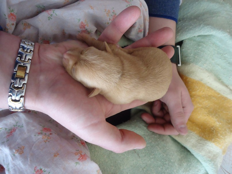 Андрей Матвеев | Новополоцк