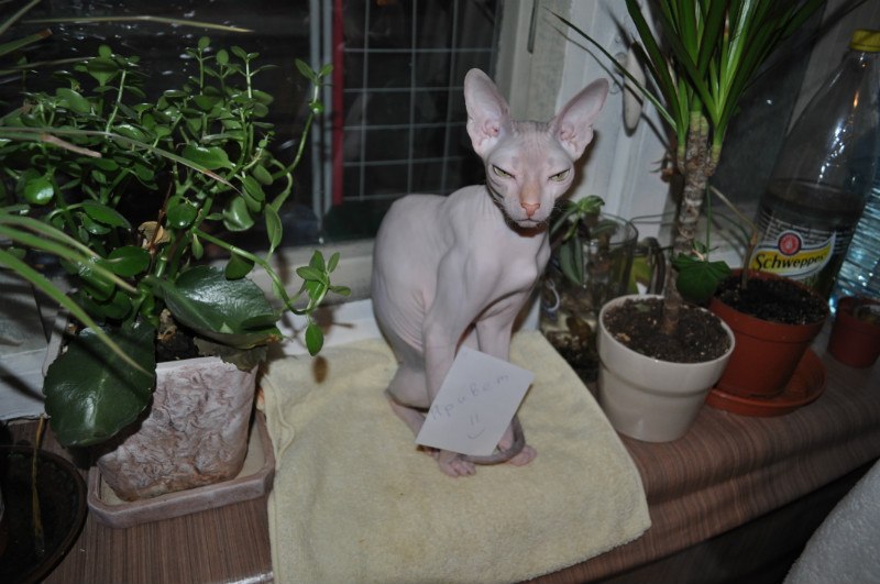 Александр Мезников | Воркута