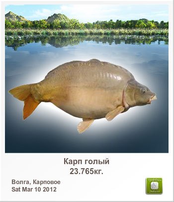 Александр Силин | Великие Луки