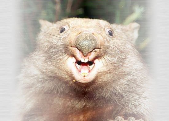 Elena Kedrova | Санкт-Петербург