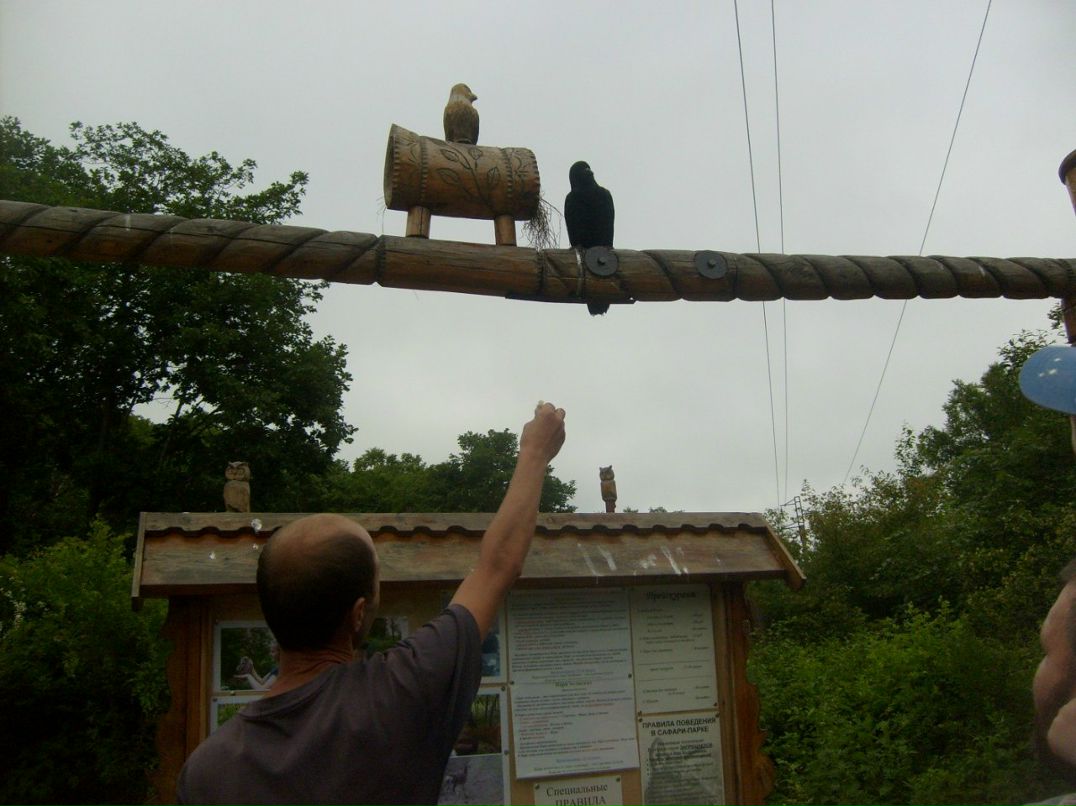 Alena Petyurkanova все отлично Petyrkanova- | Якутск