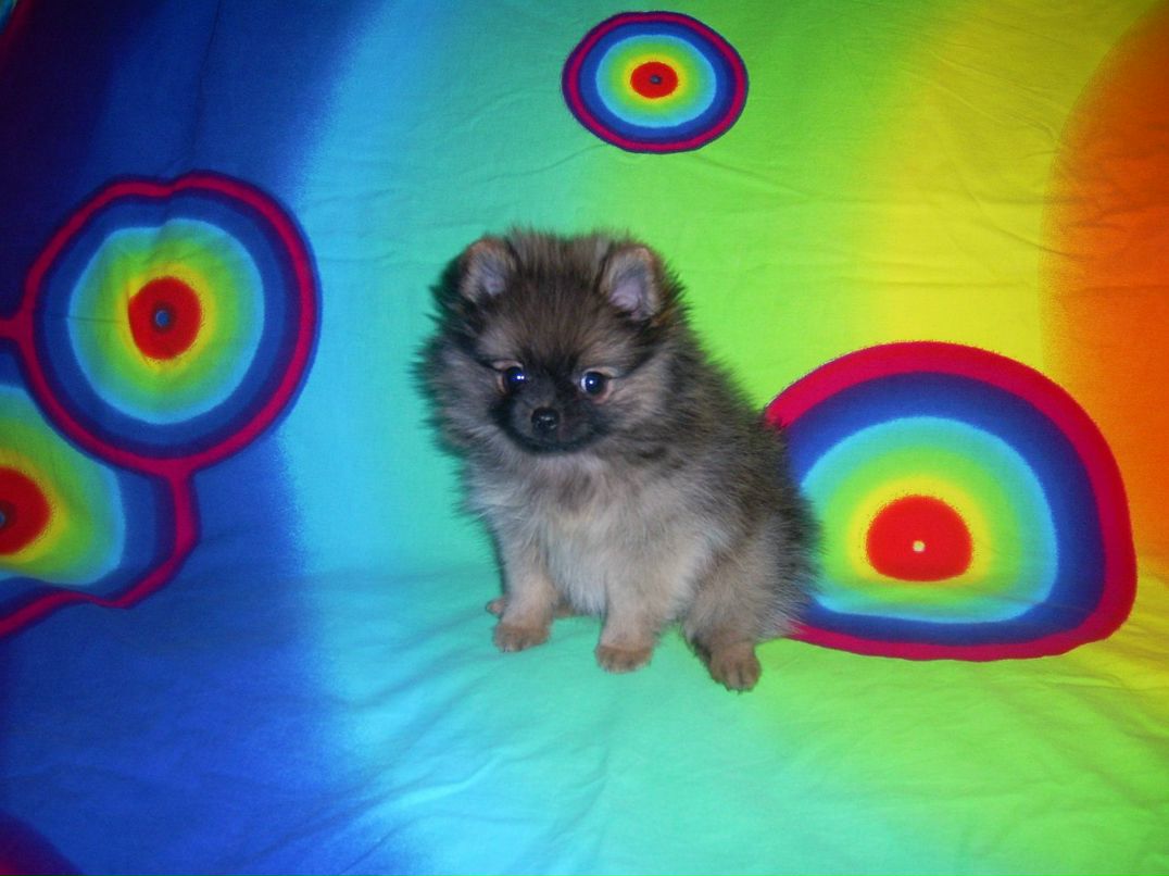 Алиса Парамохина | Москва