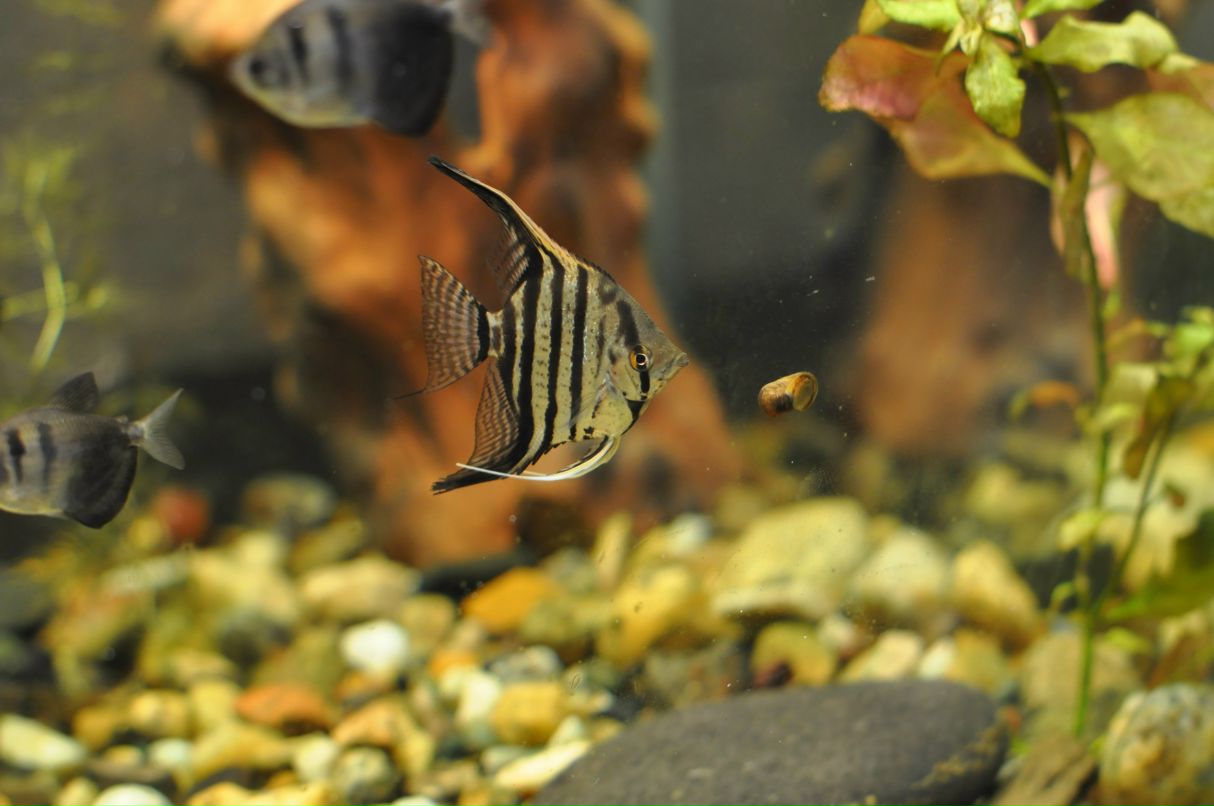 Ольга Боброва | Екатеринбург