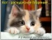 Светочка Цунаева фотография #12