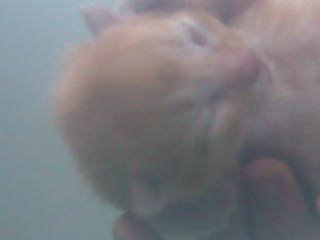 Сергей Корнейчук Феликсович | Киев