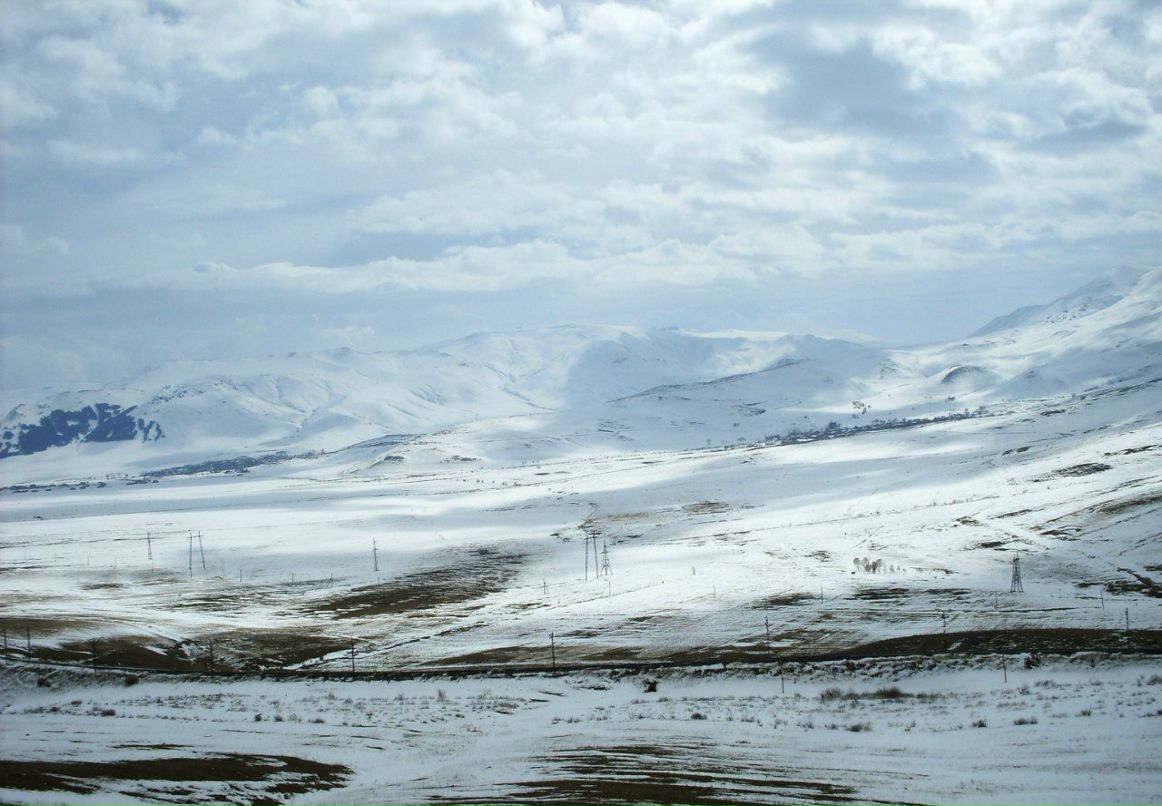 Анюта Маркелова PangoLin | Солнечногорск