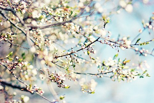 Полина Морозова Мадам | Москва