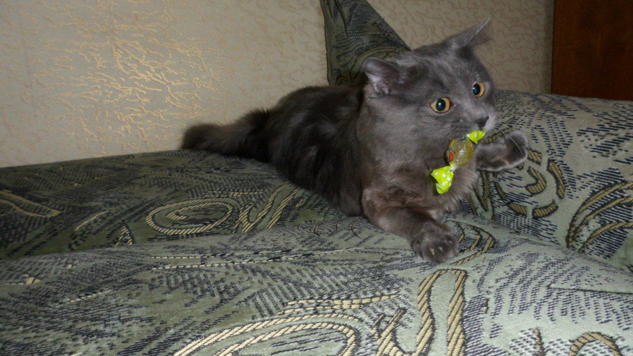 Люда Майстренко | Черкассы