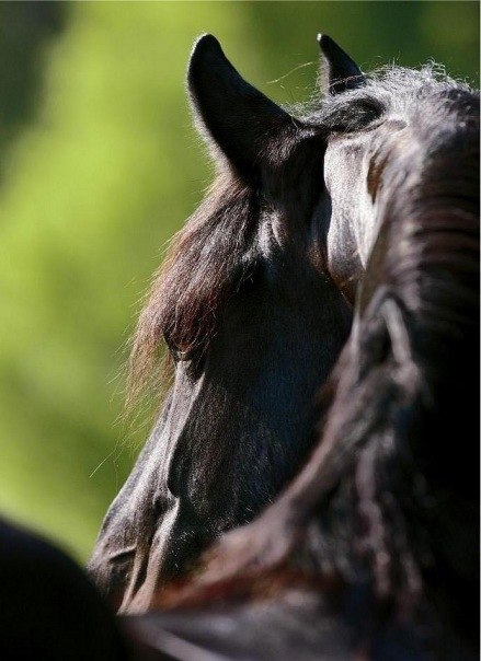 Катя Шевченко | Санкт-Петербург