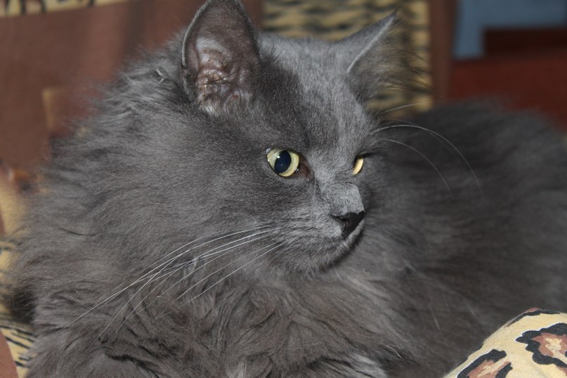 Александр Рябов | Апрелевка