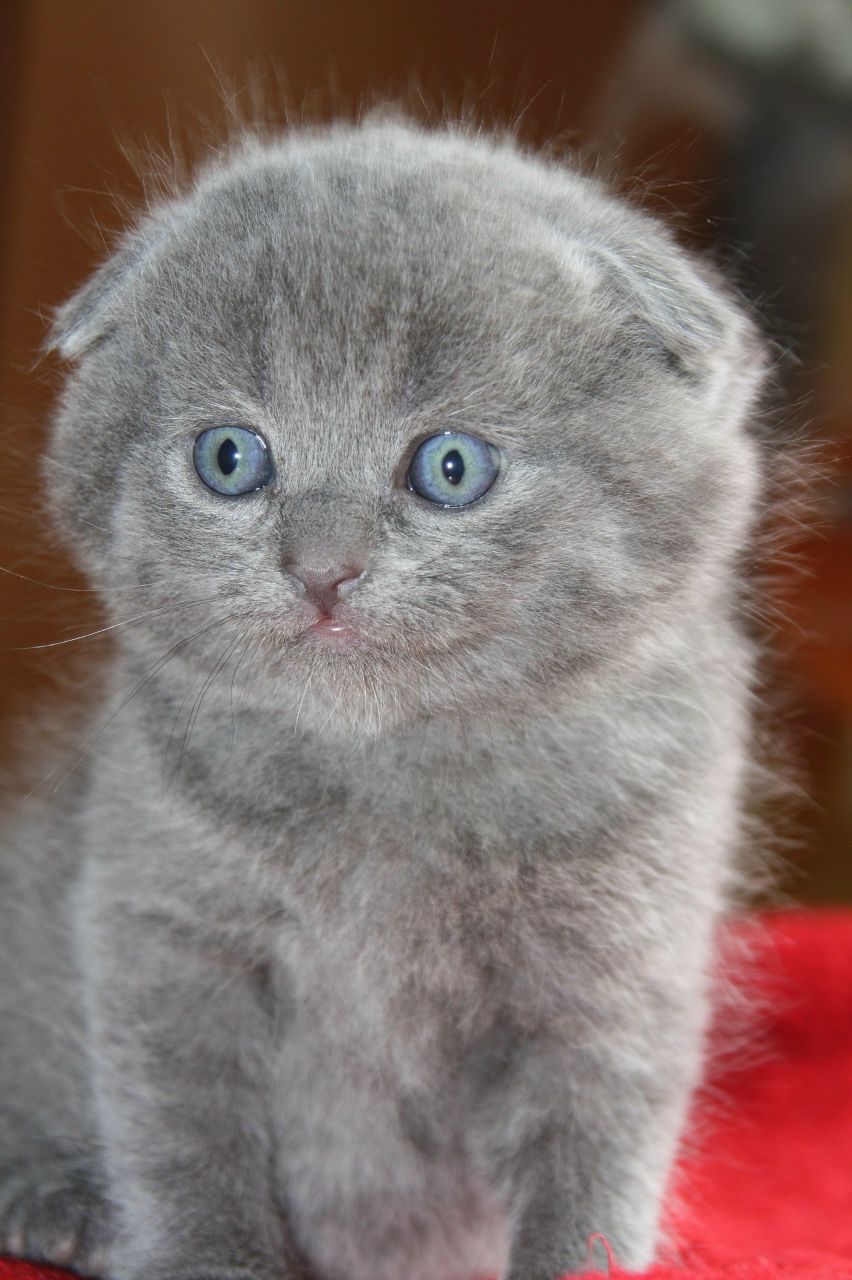 Алёна Иванова ♫RaggaLove♫ | Киев