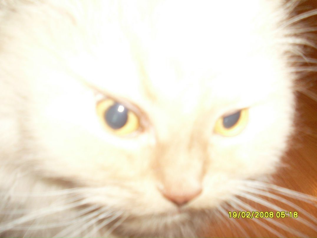 Елена Александровна | Пермь