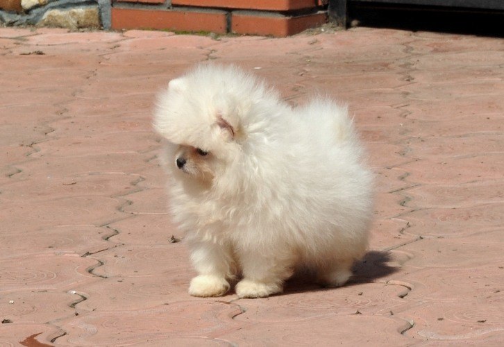 Алёна Осипова | Москва