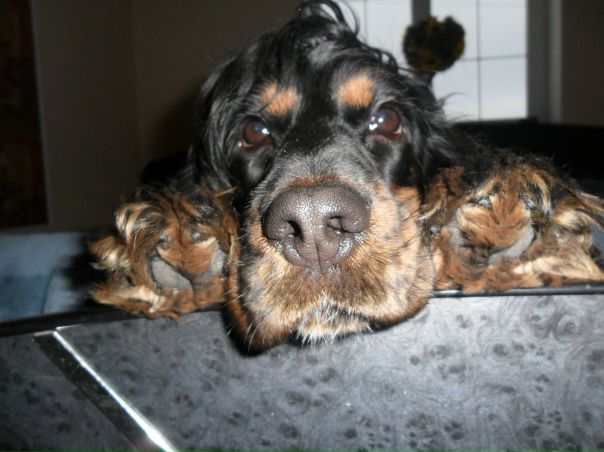 №28, Даша Федорук №28, Даша Федорук