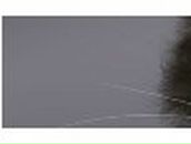 Альбина Баширова | Кумертау