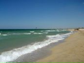 №13 Лола Палмер 23.08: профиль, фото, статус - ВКонтакте