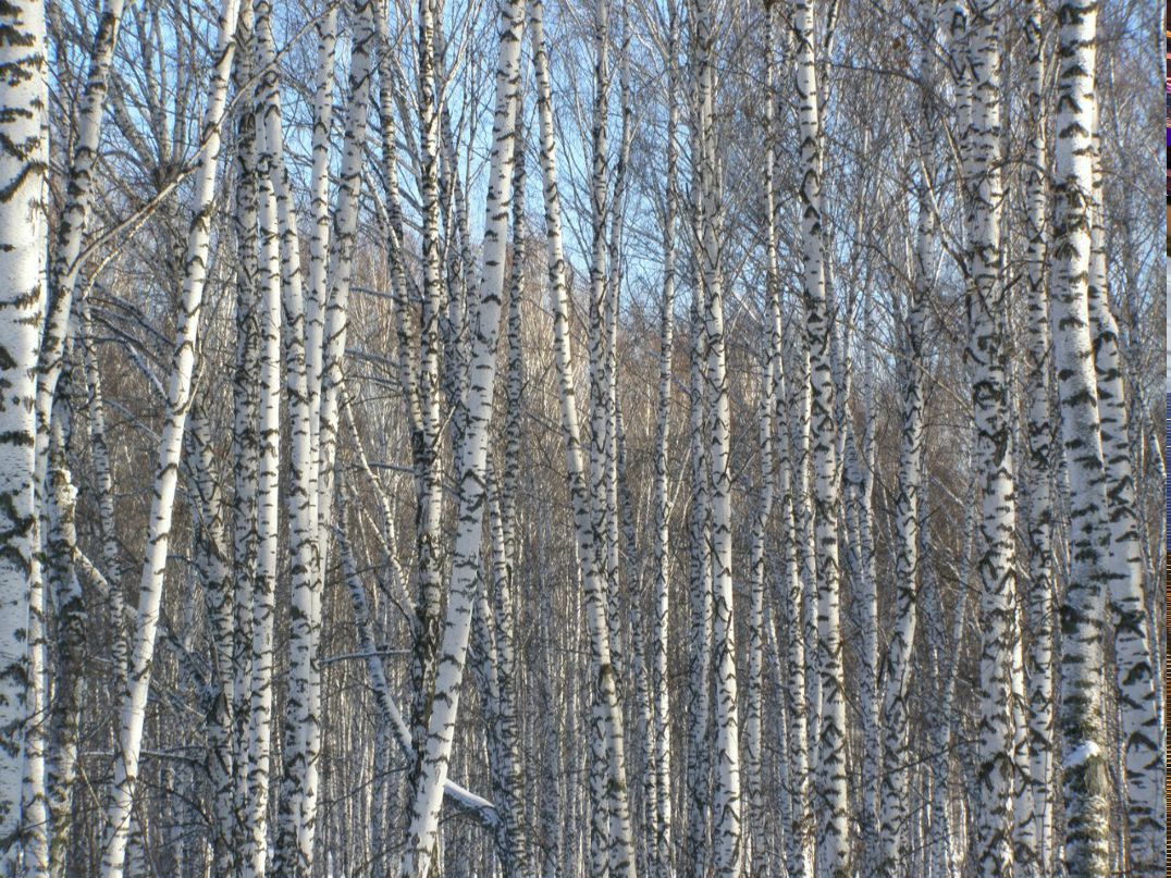 Олександр Грегораш | Калуш