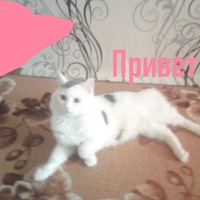 Настя Лисина | Москва