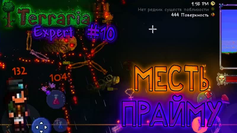 Отомстил Прайму, Terraria Эксперт,
