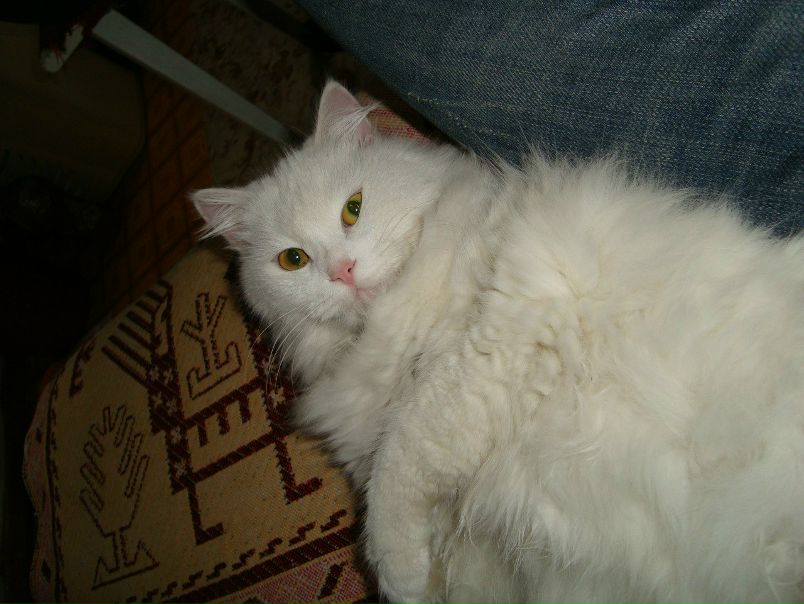 №136, Артем Троицкий, Херсон №136, Артем Троицкий, Херсон