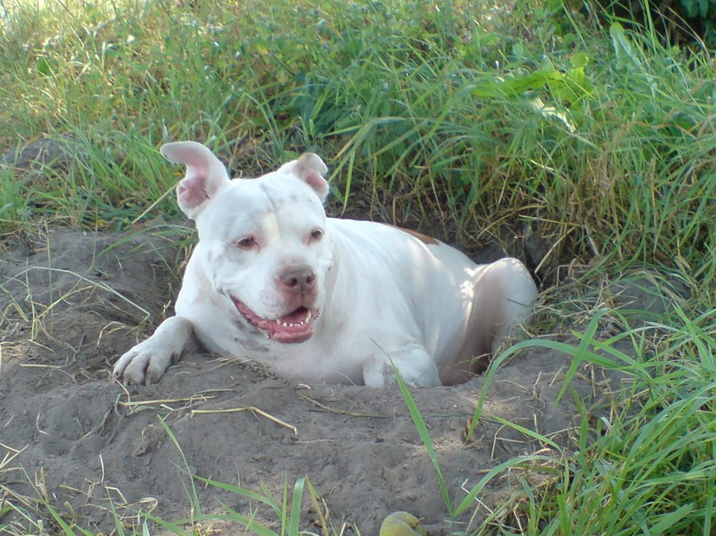 Жека Раджабов | Киев