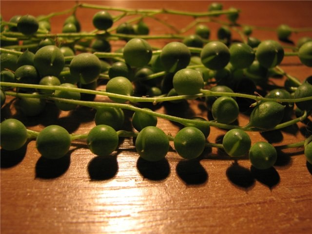 Владимир Жуков | Санкт-Петербург