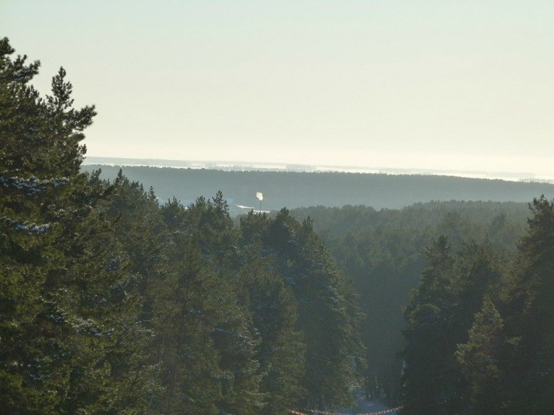 Владимир Толмачёв | Ишим