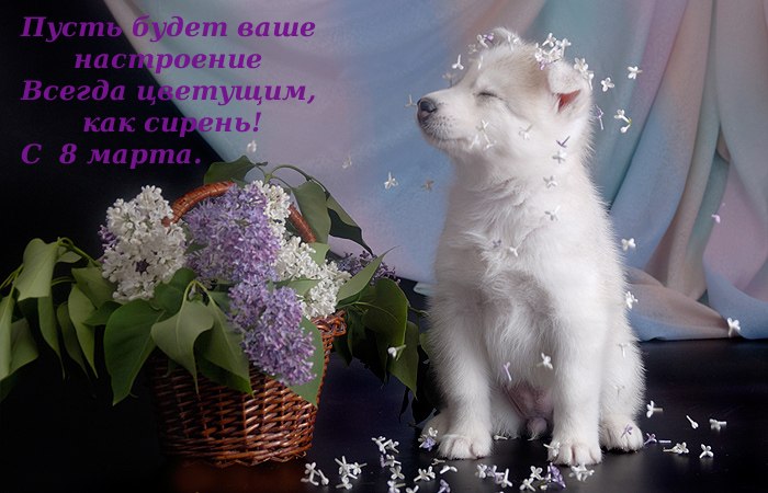 Лера Балаба | Днепр (Днепропетровск)